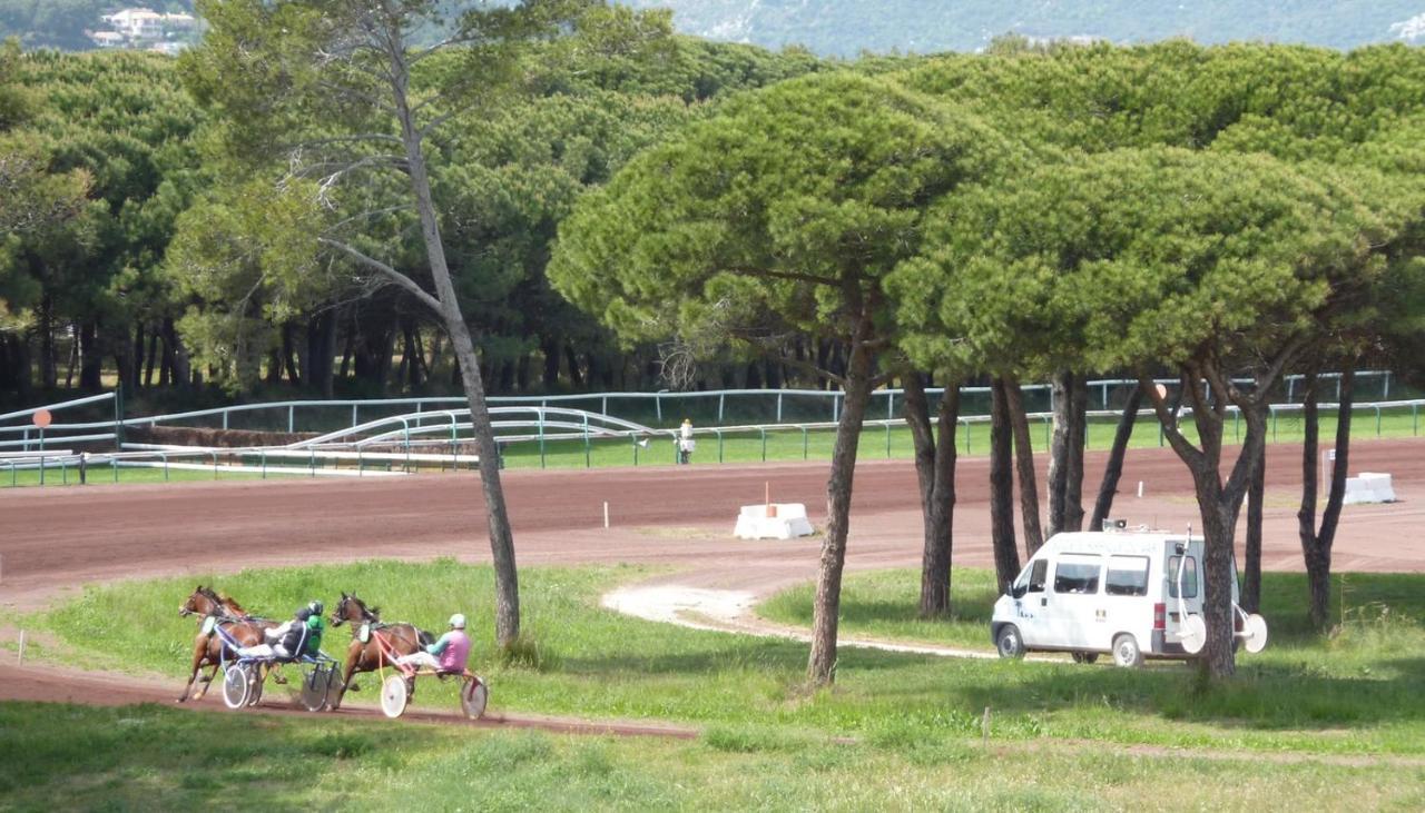 Studio Residence Bona, Vue Hippodrome Et Mer, Clim Hyères Dış mekan fotoğraf