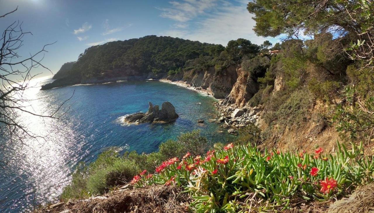 Studio Residence Bona, Vue Hippodrome Et Mer, Clim Hyères Dış mekan fotoğraf